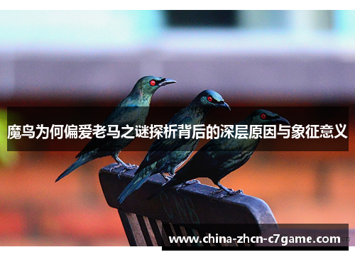 魔鸟为何偏爱老马之谜探析背后的深层原因与象征意义 魔鸟为何偏爱老马之谜探析背后的深层原因与象征意义